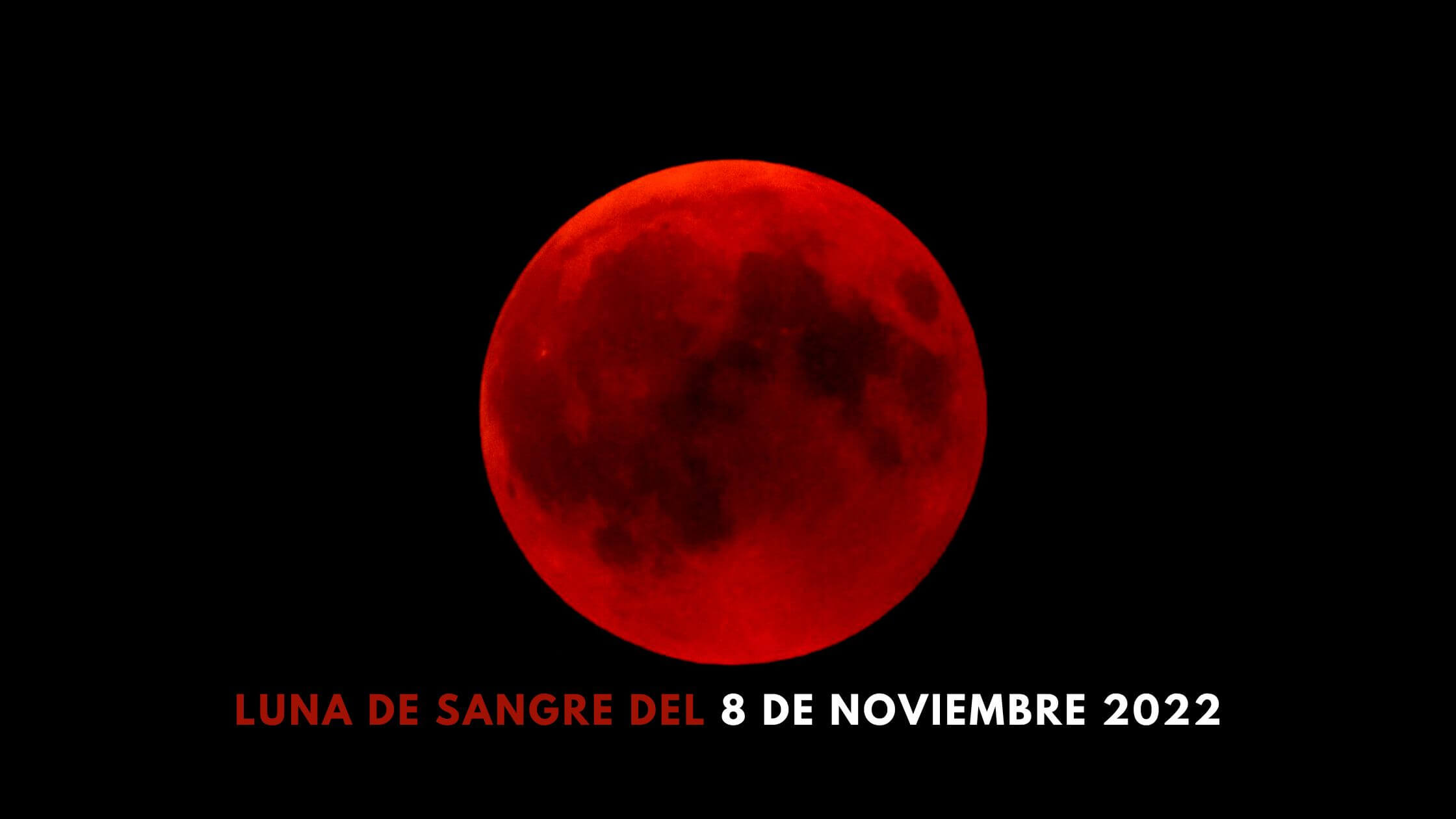 Luna de sangre del 8 de noviembre: vea el eclipse lunar total en directo