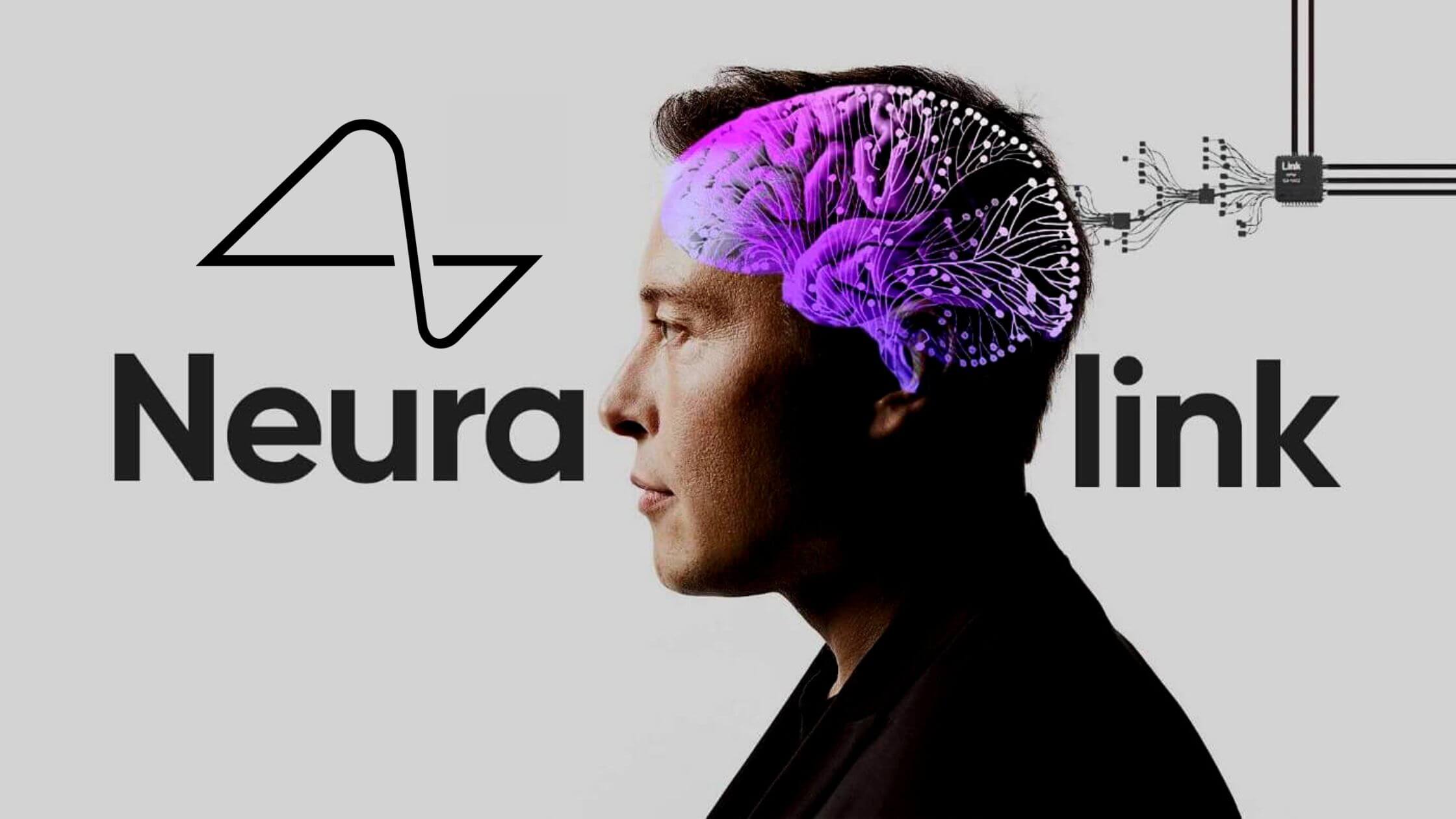 En seis meses, Elon Musk planea implantar Neuralink en humanos 