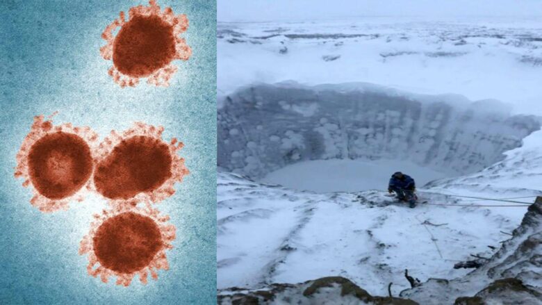 Virus "zombi": Los científicos reviven un virus que estuvo congelado durante miles de años