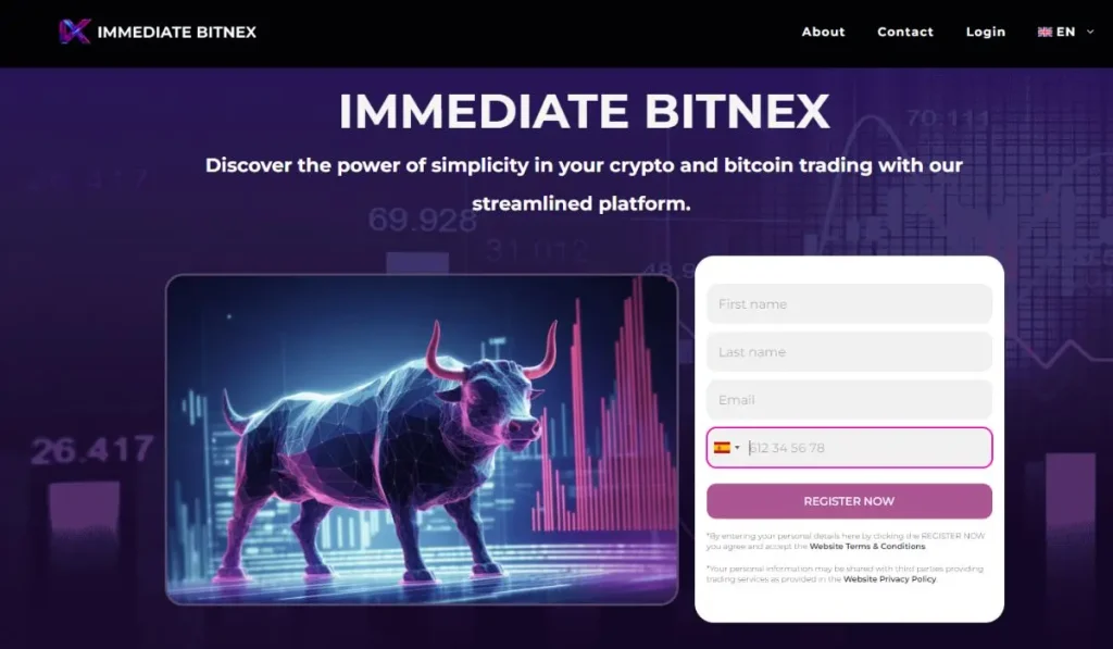 website interface for Immediate Bitnex 