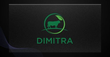 Dimitra (DMTR): predicción de precios