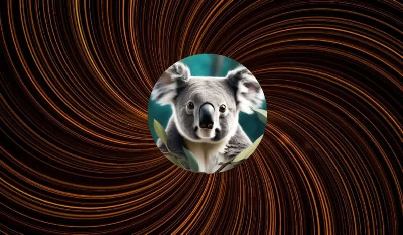 Koala AI