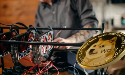 Cómo minar Dogecoin desde casa