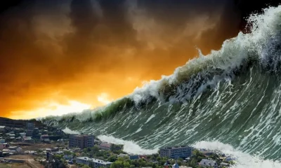 Predicción de Tsunami