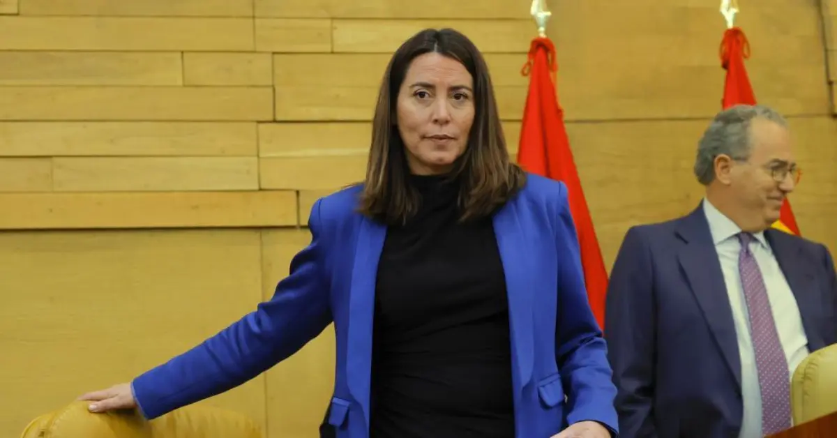 Ana Millán PP Curriculum, Biografía, Edad, Patrimonio neto y Trayectoria Política