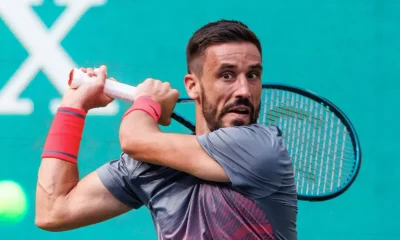 Damir džumhur religion, biografia