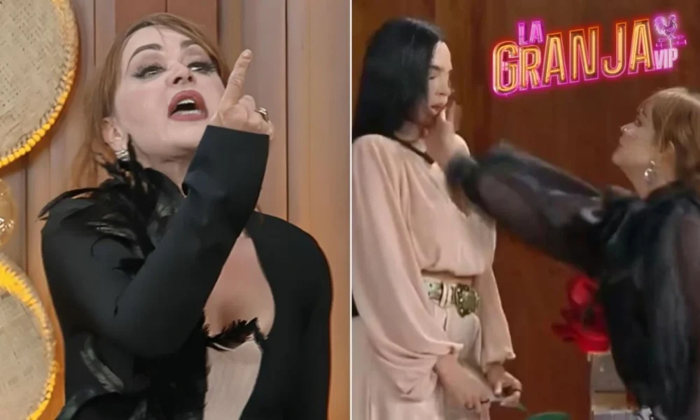 Gaby Spanic abofeteó a su compañero en La Granja VIP - Todos los detalles de la bofetada que llevó a su expulsión.