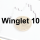 AI Winglet 1000