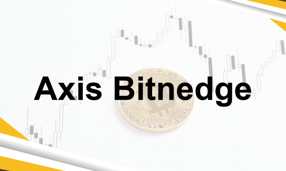 Axis Bitnedge