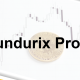 Fundurix Profit