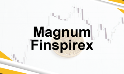 Magnum Finspirex