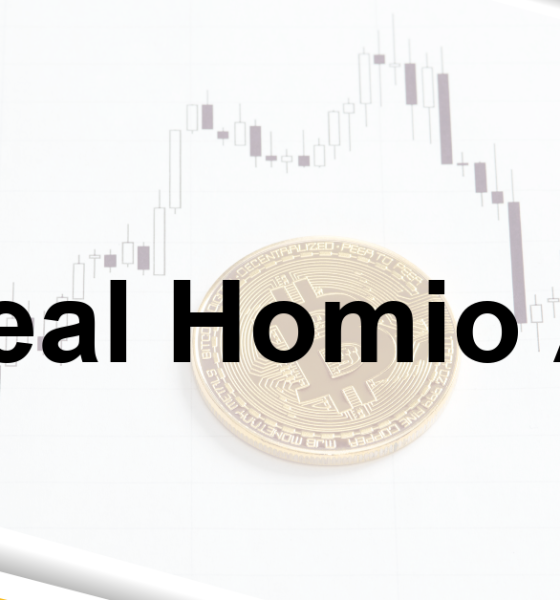 Real Homio Ai