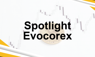 Spotlight Evocorex