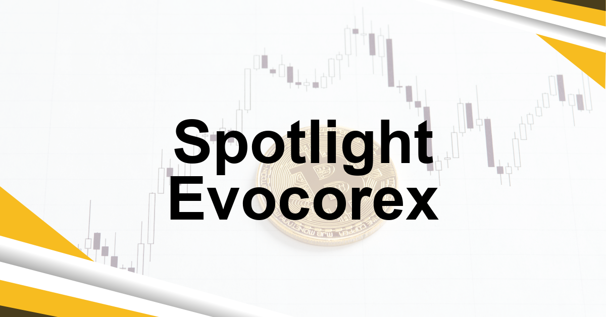Spotlight Evocorex