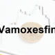 Vamoxesfin