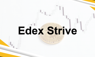 Edex Strive