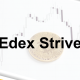 Edex Strive